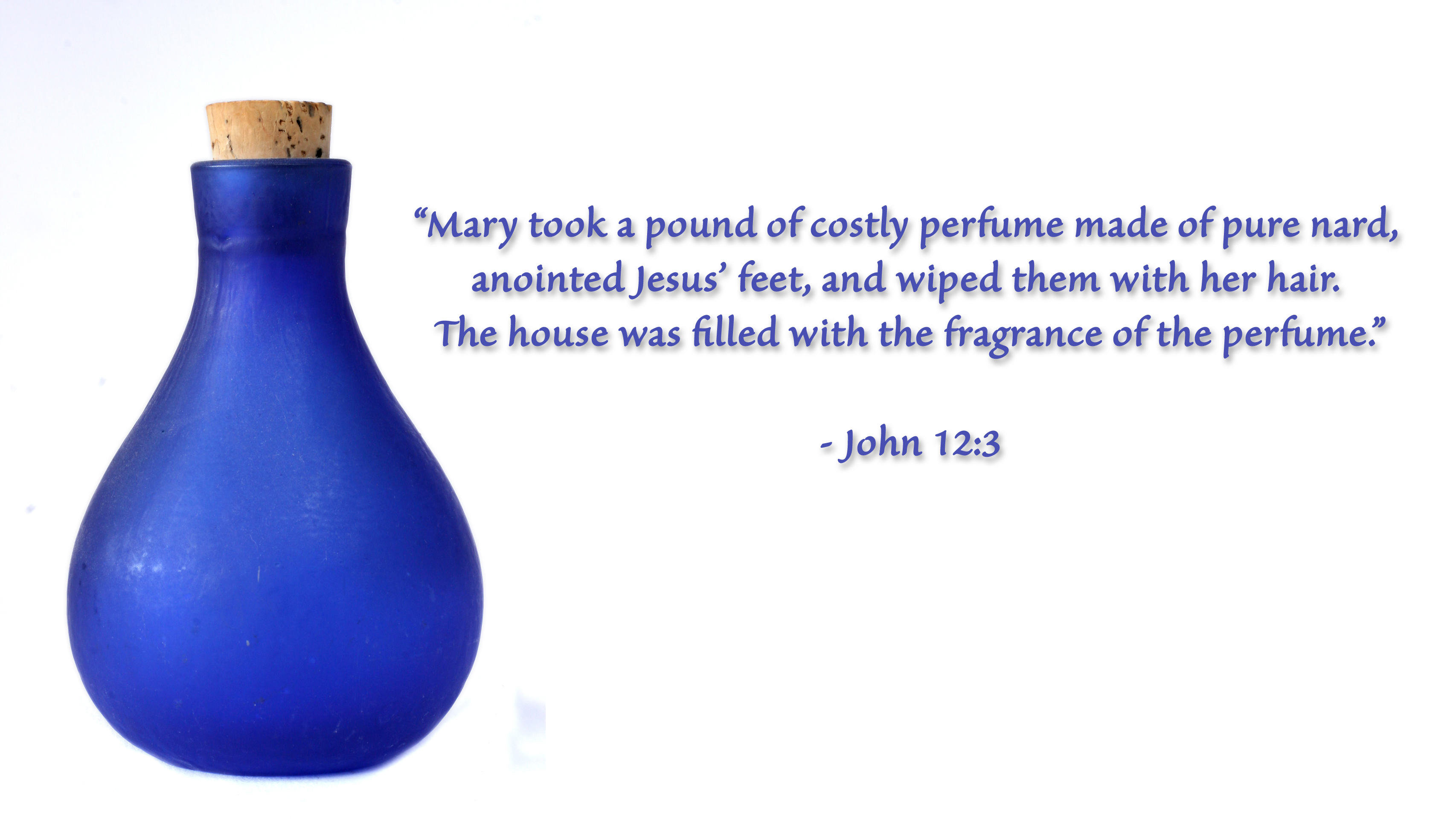 blue-bottle-1-1325728-1280x1920