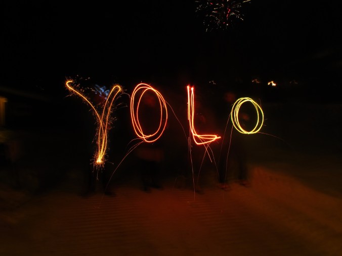 yolo-1758212_1920